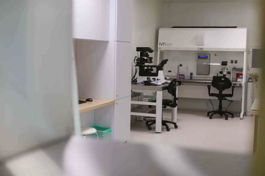 IVF - in vitro fertilizace - embryologická laboratoř